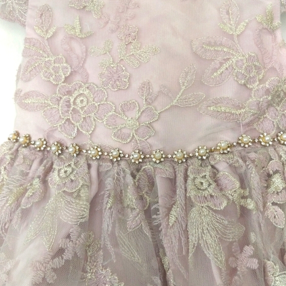Rare Editions Toddler Girl Lace Dress - Picture 4 of 11